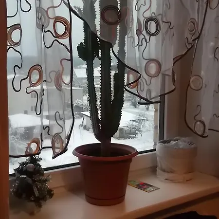 Lägenhet Nakvyne Pas Rita